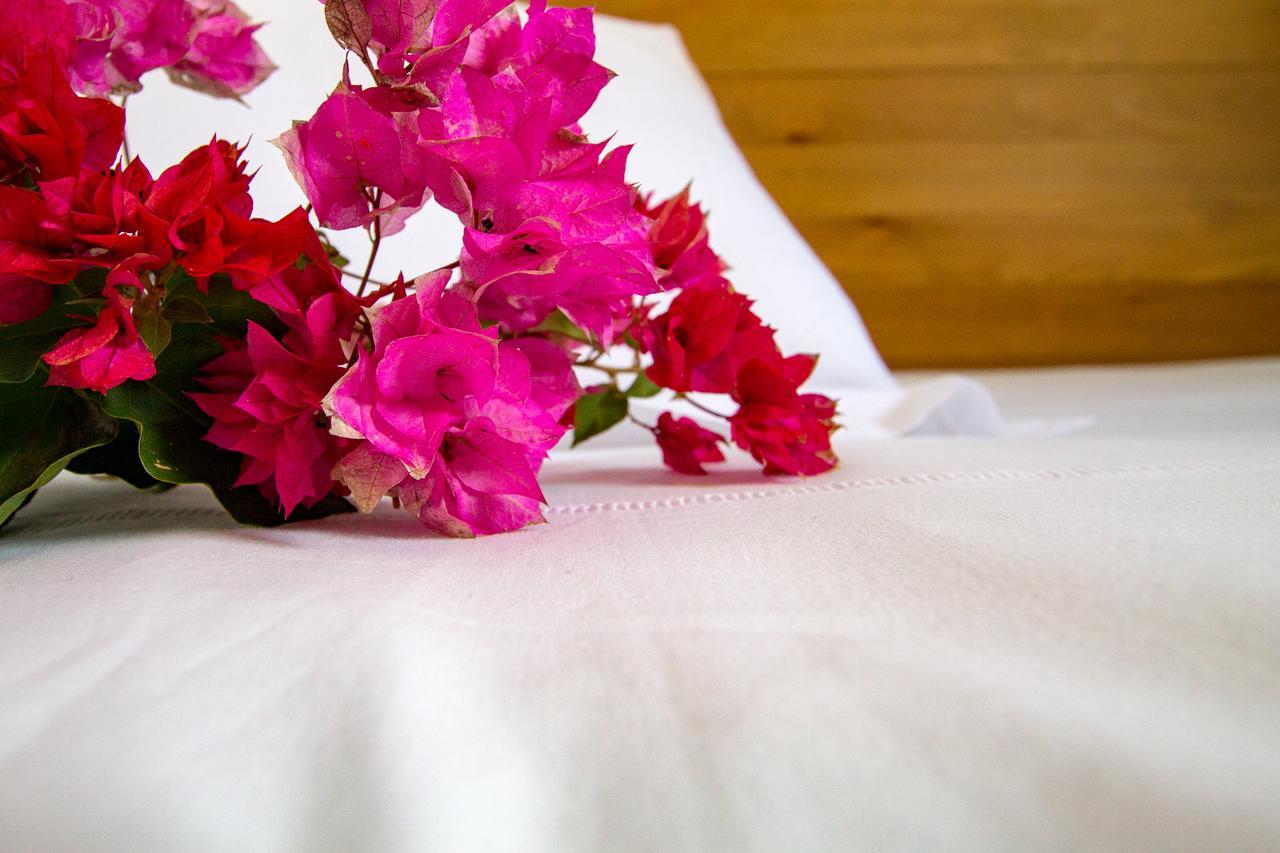 Bitacora Apart otel Las Negras Dış mekan fotoğraf